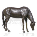 /msite/products/detail/productid/55492244/id/651323.html